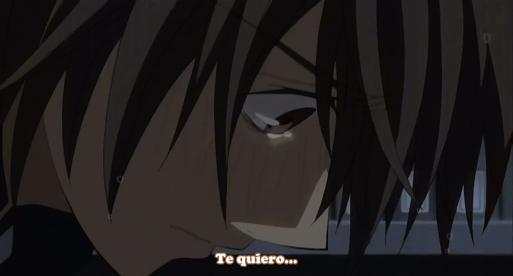 Junjo Romantica (Aino Fansub)